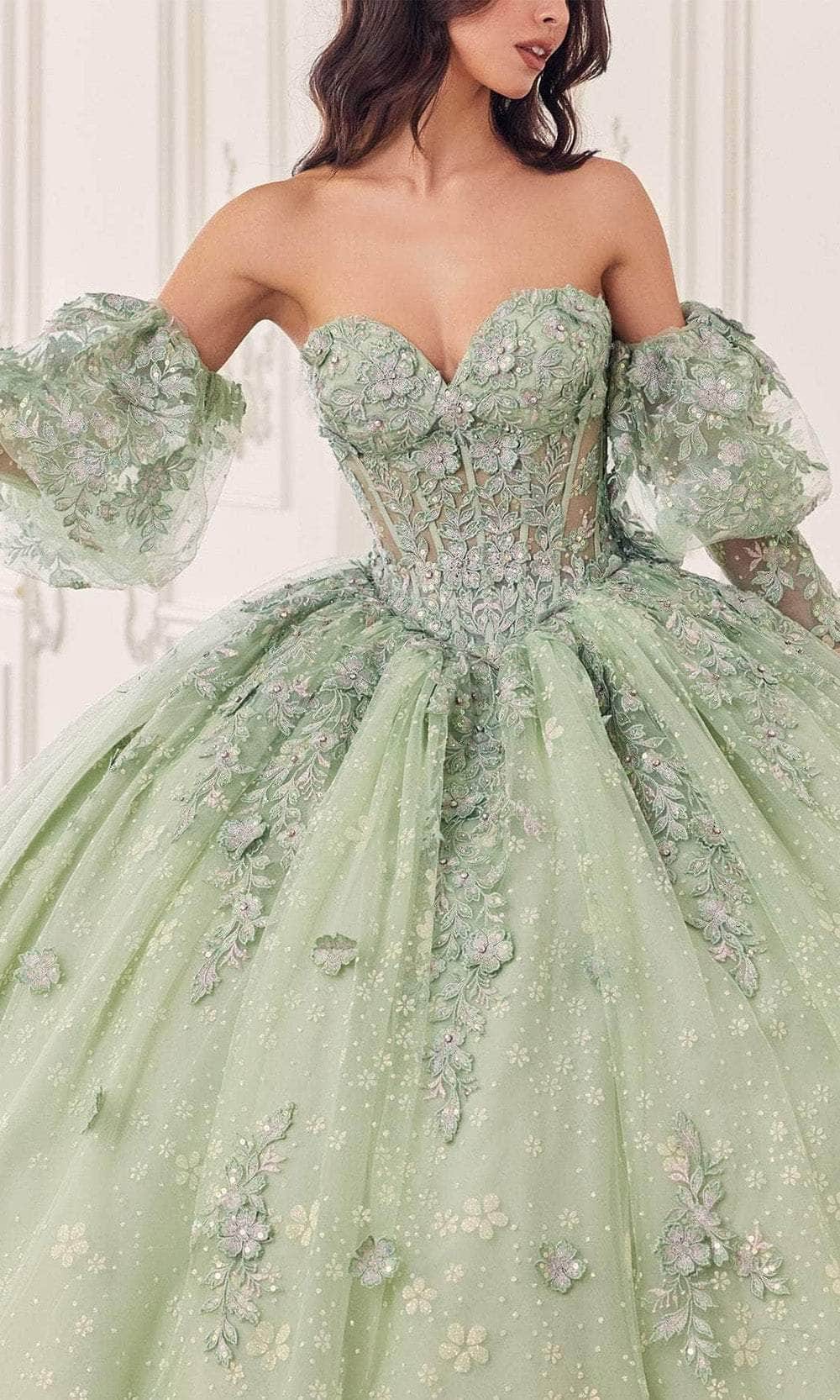 Ladivine 15722 - Applique Sleeve Ballgown - Image 3