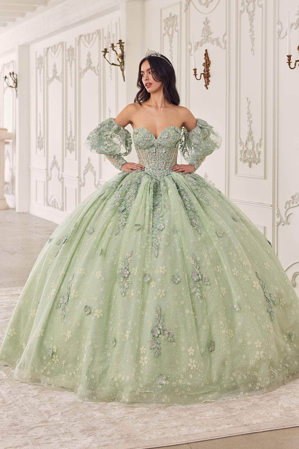 Ladivine 15722 - Applique Sleeve Ballgown - Image 4