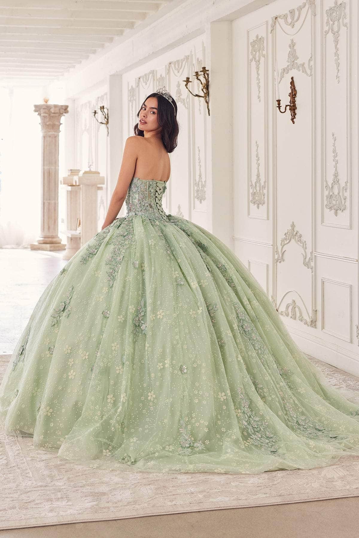 Ladivine 15722 - Applique Sleeve Ballgown - Image 5